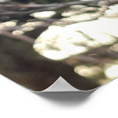 Pflanze Foto Poster (Ecke)