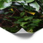 Pflanze Foto Poster (Ecke)