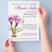 Pflanze Frühjahr Crocus Art Promotion Flyer (Hand)