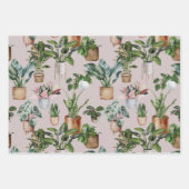 Pflanze für Innenwände Geschenkpapier Set (Vorderseite 2)