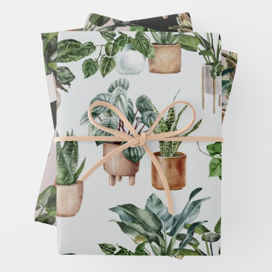 Pflanze für Innenwände Geschenkpapier Set (Beispiel)