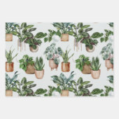 Pflanze für Innenwände Geschenkpapier Set (Vorderseite)