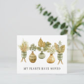 Pflanze für Wasserfarben neue Ankündigung zur Adre (Stehend Vorderseite)