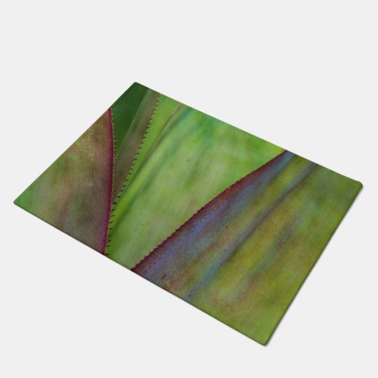 Pflanze Fußmatte (Schrägansicht)