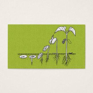 Pflanze Germination Illustration