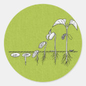 Pflanze Germination Illustration Runder Aufkleber (Vorderseite)