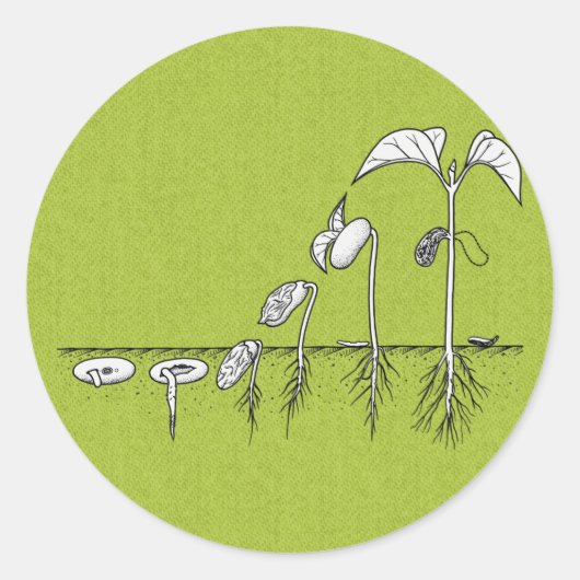 Pflanze Germination Illustration Runder Aufkleber (Vorderseite)