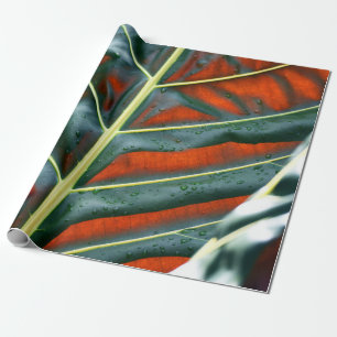 Pflanze Geschenkpapier