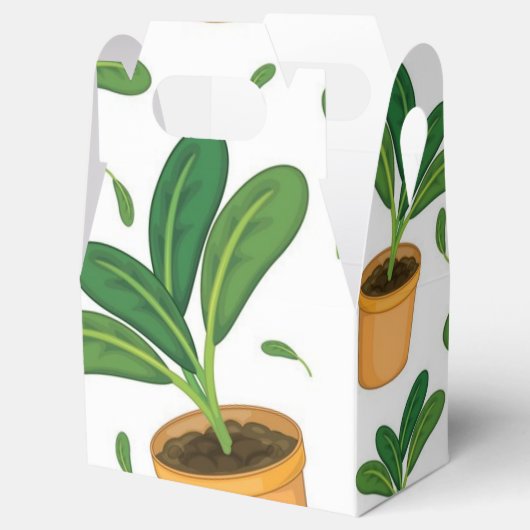 Pflanze Geschenkschachtel (Geöffnet)