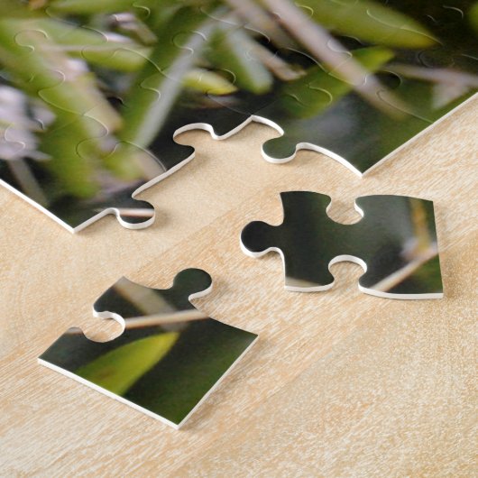 Pflanze "Green Prickly Cactus" Puzzle (Seite)