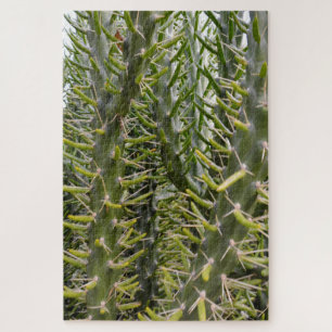 Pflanze "Green Prickly Cactus" Puzzle