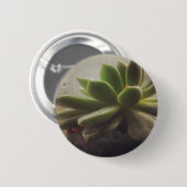 Pflanze Hen und Chicks Button (Vorne & Hinten)