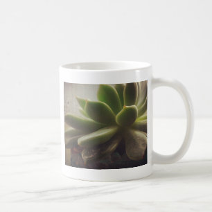 Pflanze Hen und Chicks Kaffeetasse