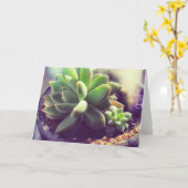 Pflanze Hen und Chicks Karte (Gelbe Blume)