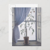 Pflanze im Fenster 2003 Postkarte (Vorne/Hinten)