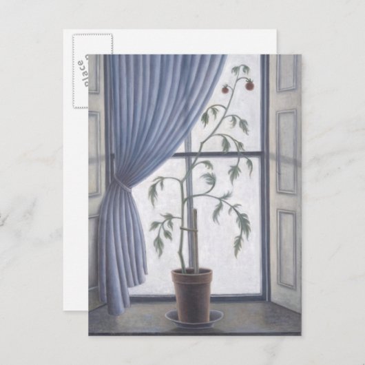 Pflanze im Fenster 2003 Postkarte (Vorne/Hinten)