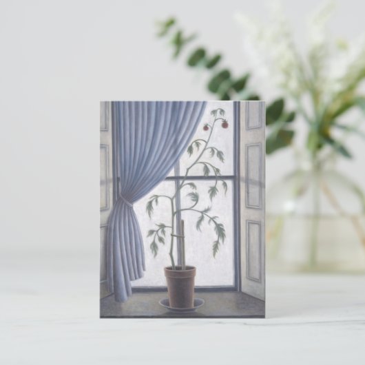 Pflanze im Fenster 2003 Postkarte (Stehend Vorderseite)