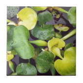 Pflanze im Lebensmittelladen Fliese (Vorderseite)