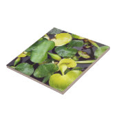 Pflanze im Lebensmittelladen Fliese (Seite)