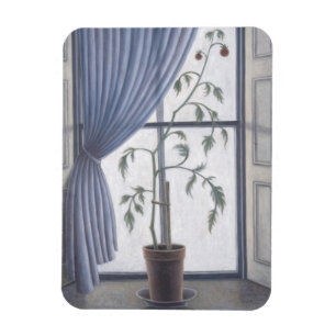Pflanze in Fenster 2003 Magnet