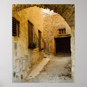 Pflanze in Fensterkisten, San Gimignano, Siena Poster