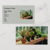 Pflanze in Greenhouse Visitenkarte (Vorne/Hinten)