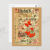 Pflanze in London Postkarte (Vorne/Hinten)