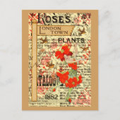 Pflanze in London Postkarte (Vorderseite)