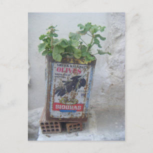 Pflanze in Olivenzinn, Naxos, Griechenland Postkarte
