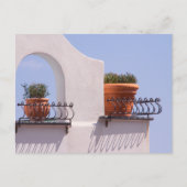 Pflanze in Positano Italien Postkarte (Vorderseite)