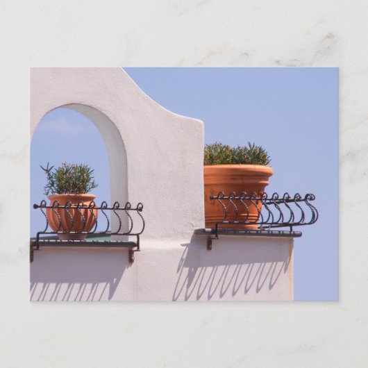 Pflanze in Positano Italien Postkarte (Vorderseite)