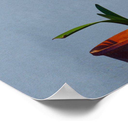 Pflanze in Pot Poster (Ecke)