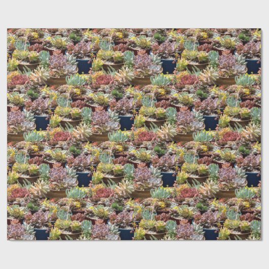 Pflanze in Töpfen Geschenkpapier (Flach)