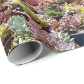 Pflanze in Töpfen Geschenkpapier (Rolleneckpunkt)