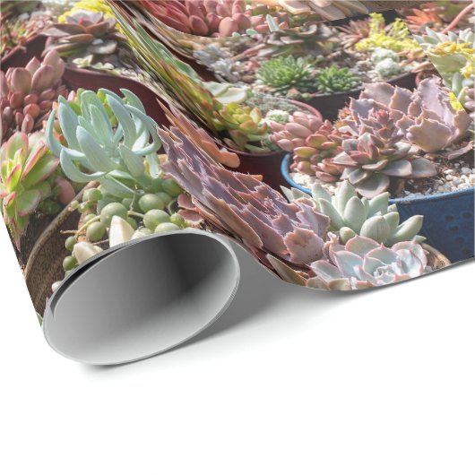 Pflanze in Töpfen Geschenkpapier (Rolleneckpunkt)