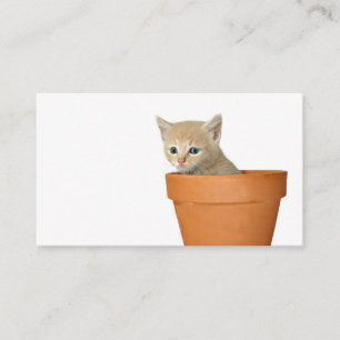 Pflanze irgendeine Liebe-Visitenkarte Telefonnummerkarte