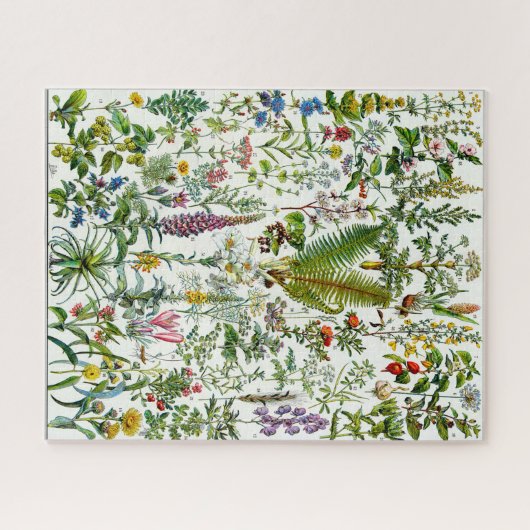 Pflanze Jigsaw Puzzle (Horizontal)