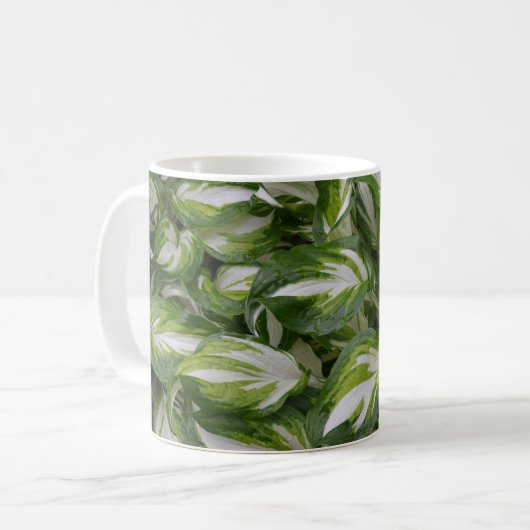 Pflanze Kaffeetasse (Vorderseite Links)