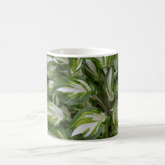 Pflanze Kaffeetasse (Mittel)