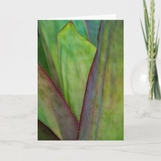 Pflanze Karte (Vorderseite)