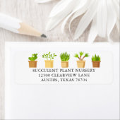 Pflanze Kinderzimmer Sukkulente botanistische Rück (Insitu)