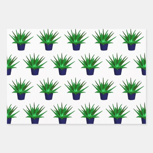 Pflanze liebt handgezeichnete Kakteen und Sukkultu Geschenkpapier Set (Vorderseite 2)