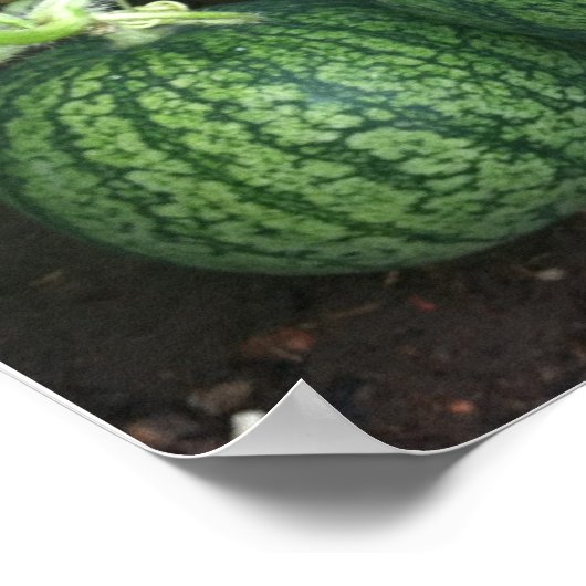 Pflanze Locarno Poster (Ecke)