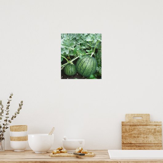 Pflanze Locarno Poster (Küche)