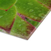 Pflanze Lover Aeonium Magic Schneidebrett (Ecke)