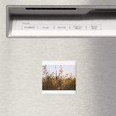 Pflanze Magnet (In Situ (Geschirrspüler))