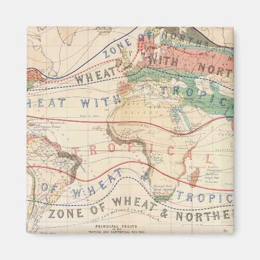 Pflanze Magnet (Vorne)