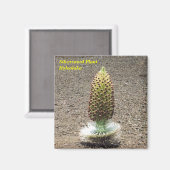 Pflanze-Magnet Magnet (Vorderseite/Rückseite)