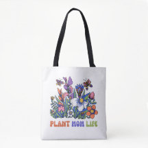 Pflanze Mama Lugano Pflanze Lugano