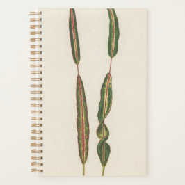 Pflanze Mama Vater Romantischer Gärtner Geschenk 2 Planer